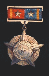 Vietnam War - Medal